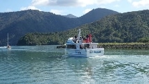 Pelorus Mail Boat - Kenepuru Delivery Cruise & Bush Walk